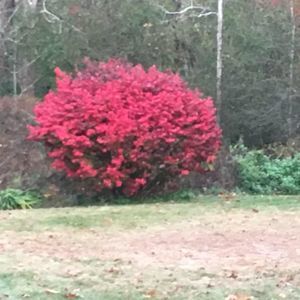 Meet your Posher, Anita